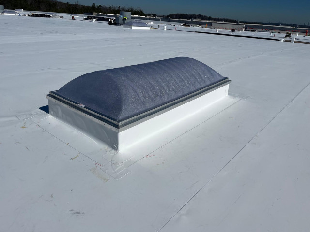 Skylight Image